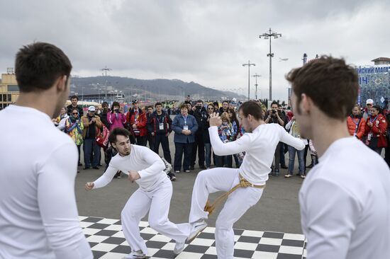 Fans in Sochi's Olympic Park