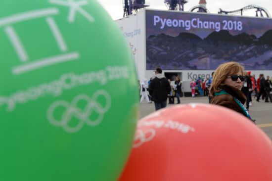 Fans in Sochi's Olympic Park