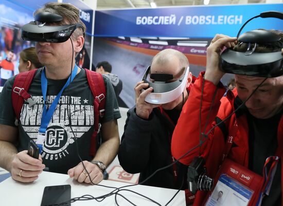 Fans in Sochi's Olympic Park