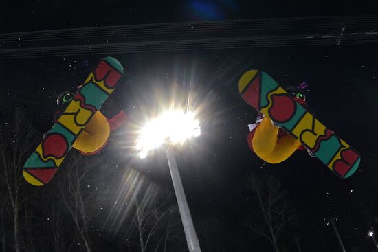 2014 Winter Olympics. Snowboarding. Women. Halfpipe