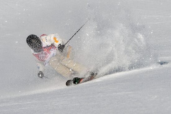 2014 Winter Olympics. Freestyle skiing. Men. Slopestyle