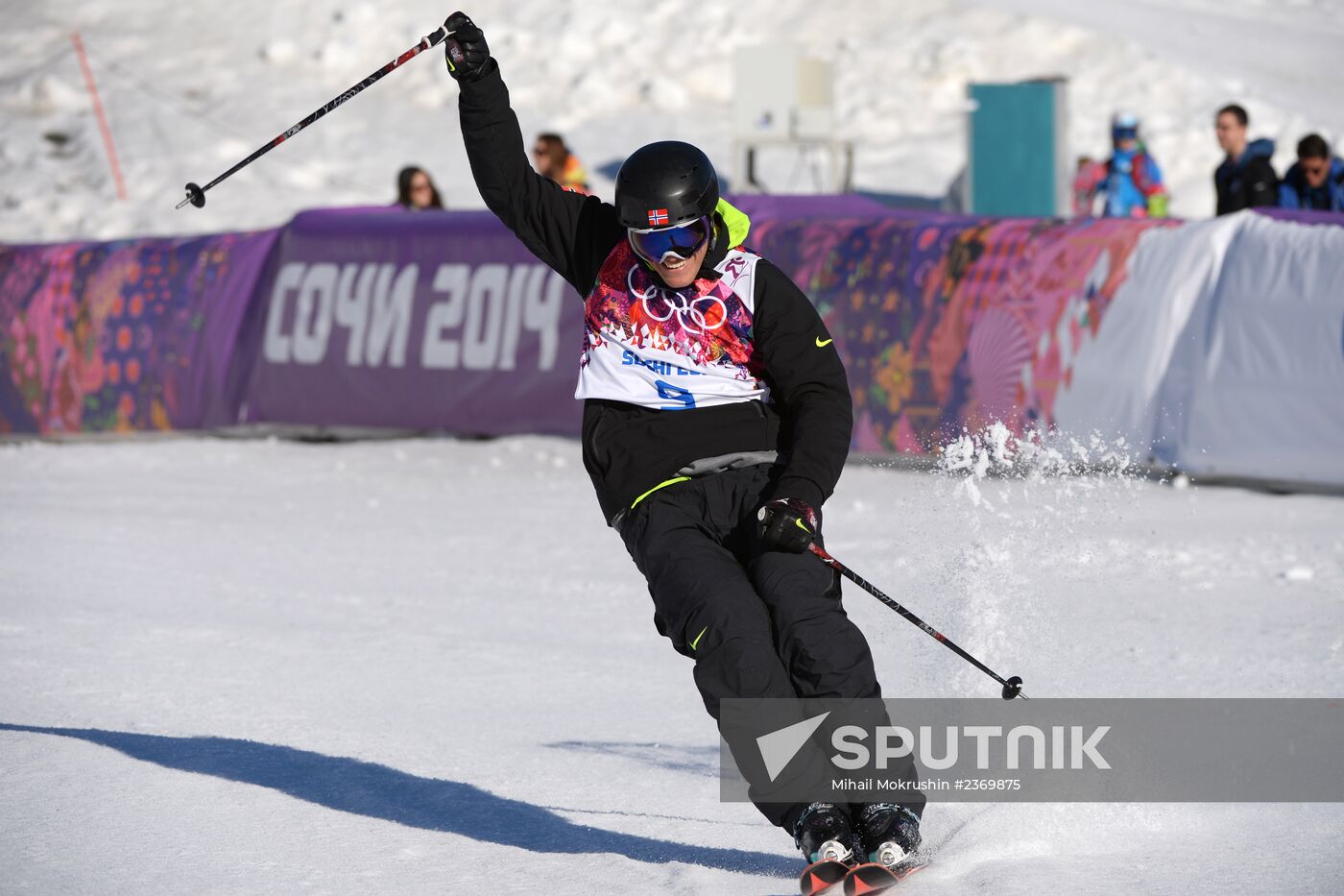 2014 Winter Olympics. Freestyle skiing. Men. Slopestyle