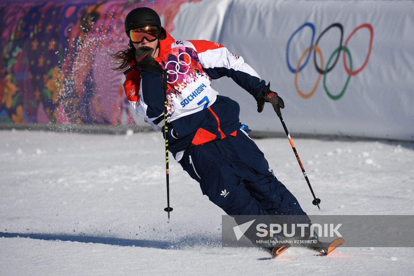 2014 Winter Olympics. Freestyle skiing. Men. Slopestyle