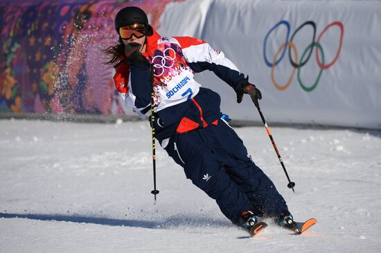 2014 Winter Olympics. Freestyle skiing. Men. Slopestyle