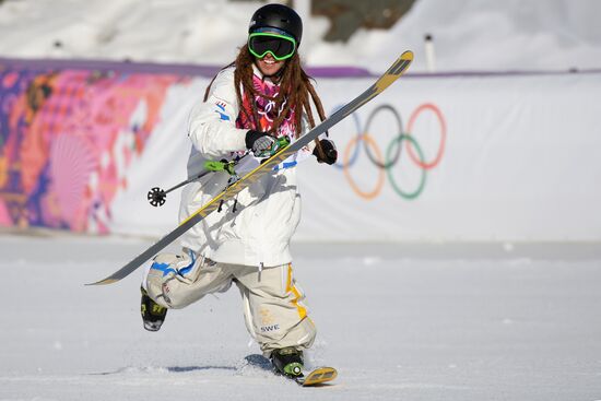 2014 Winter Olympics. Freestyle skiing. Men. Slopestyle