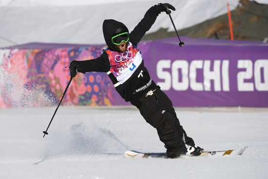 2014 Winter Olympics. Freestyle skiing. Men. Slopestyle