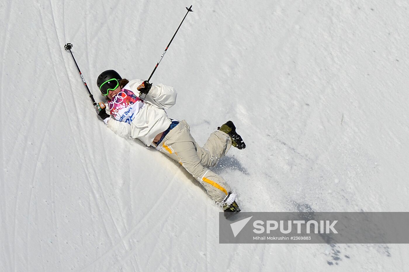 2014 Winter Olympics. Freestyle skiing. Men. Slopestyle