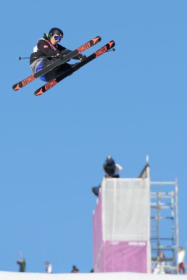 2014 Winter Olympics. Freestyle skiing. Men. Slopestyle