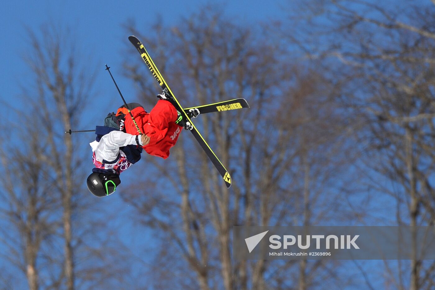 2014 Winter Olympics. Freestyle skiing. Men. Slopestyle