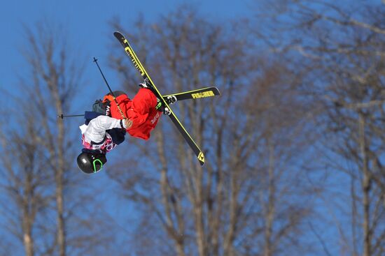 2014 Winter Olympics. Freestyle skiing. Men. Slopestyle