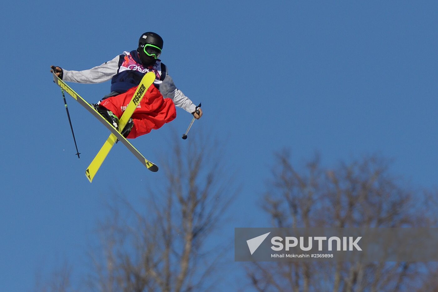 2014 Winter Olympics. Freestyle skiing. Men. Slopestyle