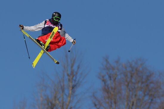 2014 Winter Olympics. Freestyle skiing. Men. Slopestyle