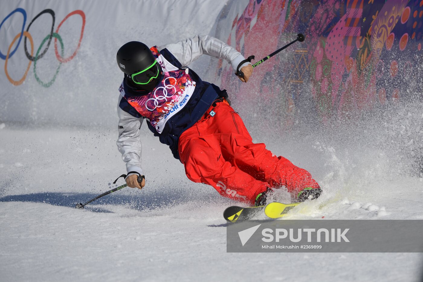 2014 Winter Olympics. Freestyle skiing. Men. Slopestyle