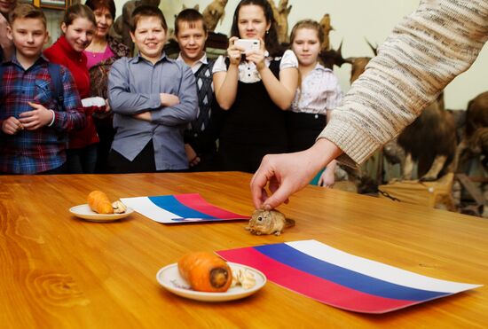Animals predict results of Russia -- Slovenia hockey match