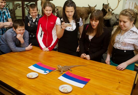 Animals predict results of Russia -- Slovenia hockey match