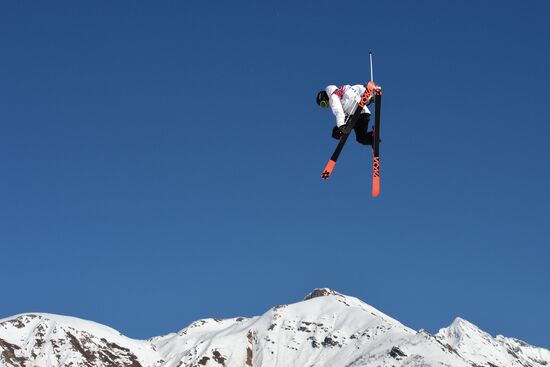 2014 Olympics. Freestyle skiing. Men. Slopestyle