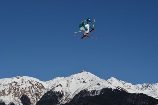 2014 Winter Olympics. Freestyle skiing. Men. Slopestyle