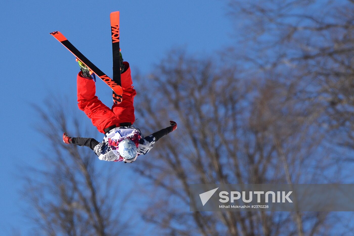 2014 Winter Olympics. Freestyle skiing. Men. Slopestyle