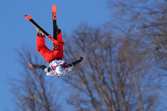 2014 Winter Olympics. Freestyle skiing. Men. Slopestyle