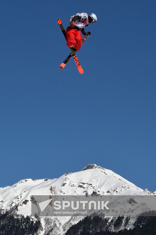 2014 Winter Olympics. Freestyle skiing. Men. Slopestyle