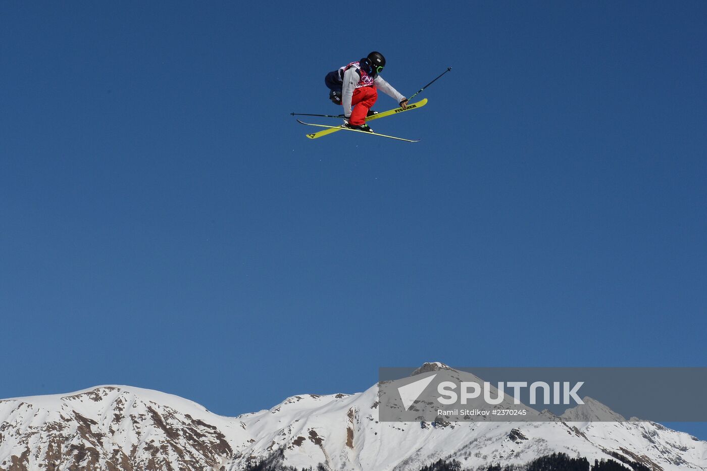 2014 Winter Olympics. Freestyle skiing. Men. Slopestyle