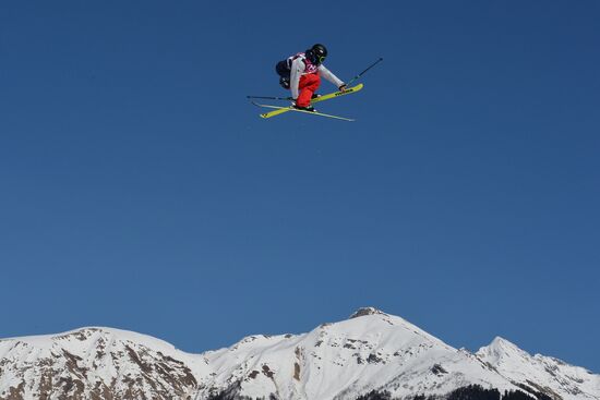 2014 Winter Olympics. Freestyle skiing. Men. Slopestyle