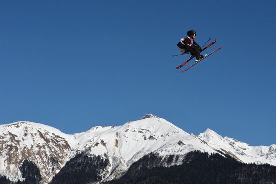 2014 Winter Olympics. Snowboarding. Men. Slopestyle