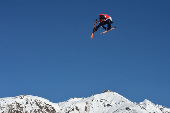 2014 Winter Olympics. Freestyle skiing. Men. Slopestyle