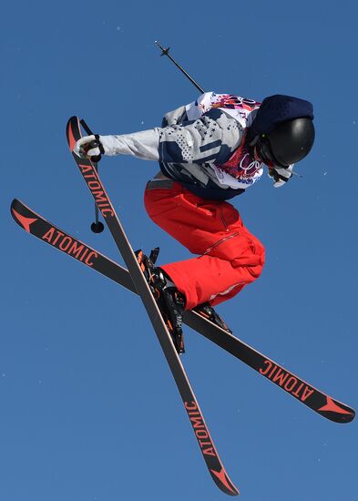 2014 Winter Olympics. Freestyle skiing. Men. Slopestyle