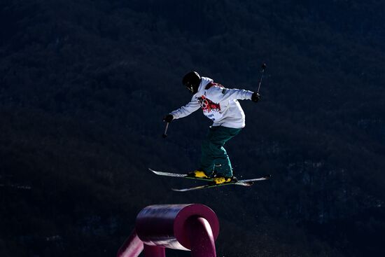 2014 Winter Olympics. Freestyle skiing. Men. Slopestyle