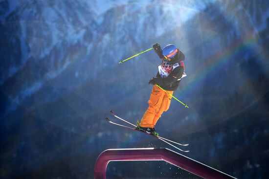 2014 Winter Olympics. Freestyle skiing. Men. Slopestyle