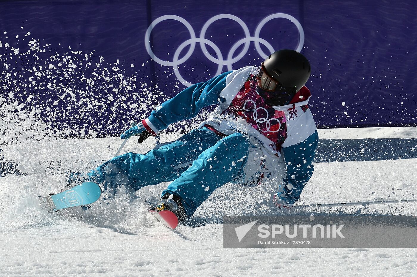 2014 Winter Olympics. Freestyle skiing. Men. Slopestyle