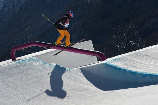 2014 Winter Olympics. Freestyle skiing. Men. Slopestyle