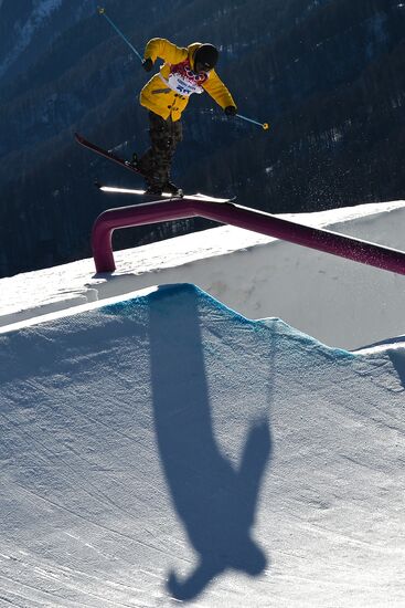 2014 Winter Olympics. Freestyle skiing. Men. Slopestyle