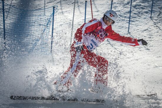 2014 Winter Olympics. Freestyle skiing. Men. Aerials. Trainings