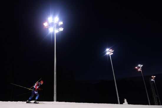 2014 Winter Olympics. Biathlon. Men. Individual race