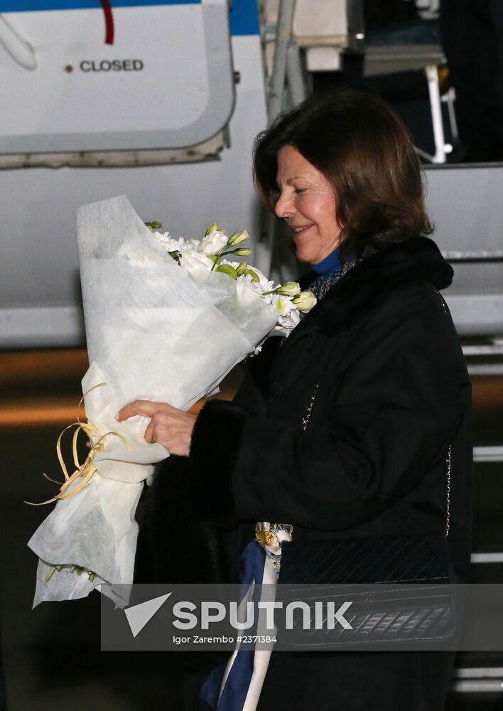 Heads of state arrive in Sochi