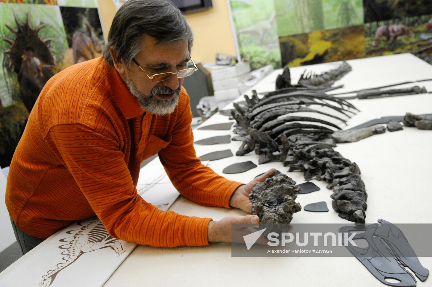 Stegosaurus skeleton assemled in Krasnoyarsk