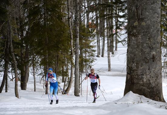 2014 Olympics. Cross-country skiing. Men. Individual race