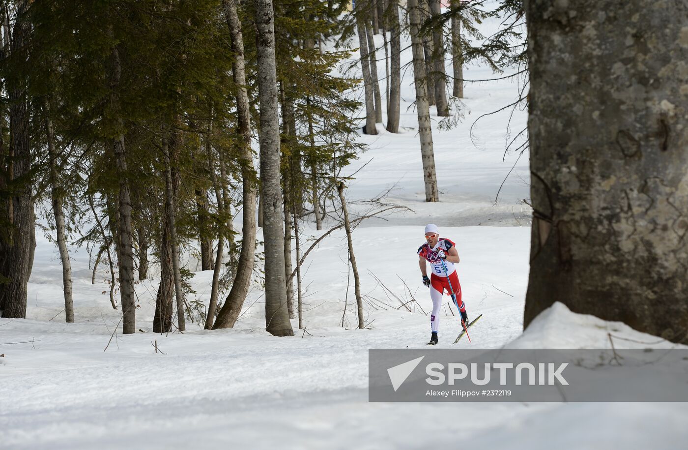 2014 Winter Olympics. Cross-country skiing. Men. Individual race