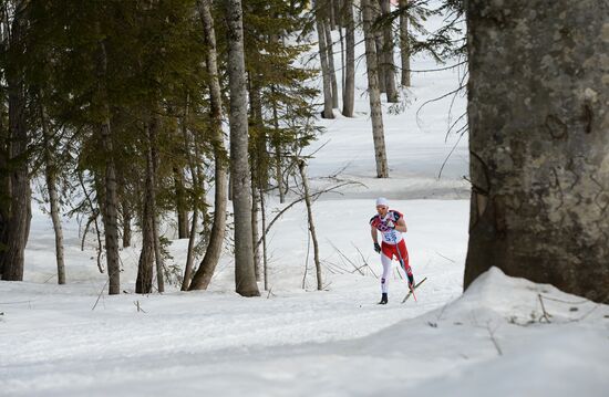 2014 Winter Olympics. Cross-country skiing. Men. Individual race