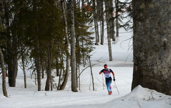 2014 Olympics. Cross-country skiing. Men. Individual race