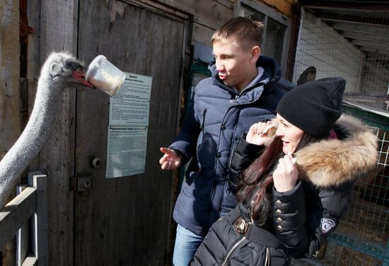 St Valentine's Day celebrated at Sadogorod Zoo, Vladivostok