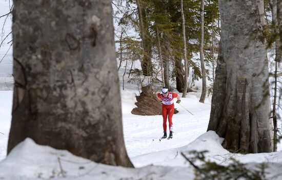 2014 Olympics. Cross-country skiing. Men. Individual race