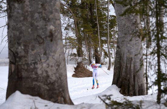 2014 Olympics. Cross-country skiing. Men. Individual race