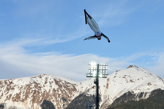 2014 Winter Olympics. Freestyle skiing. Women. Aerials