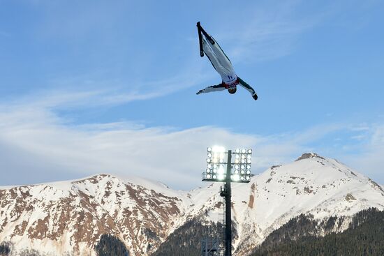 2014 Winter Olympics. Freestyle skiing. Women. Aerials