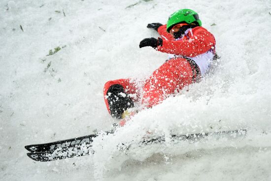 2104 Winter Olympics. Freestyle skiing. Women. Aerials