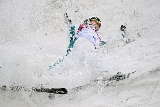 2104 Winter Olympics. Freestyle skiing. Women. Aerials