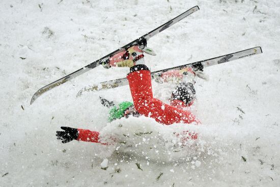 2104 Winter Olympics. Freestyle skiing. Women. Aerials